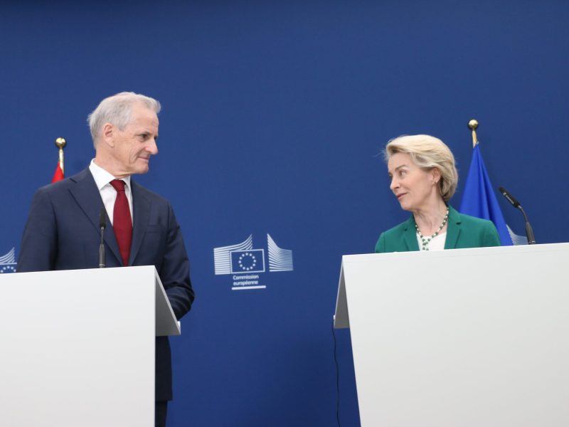 Il n'y a pas d'UE en Norvège 12 Il n'y a pas d'UE en Norvège - 11