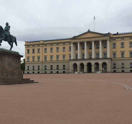 Les Norvégiens indignés défendent leur roi 35 Les Norvégiens indignés défendent leur roi - 34