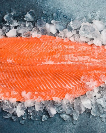 Vidéo : Le saumon sauvage de Norvège peut-il être sauvé ? 8 Vidéo : Le saumon sauvage de Norvège peut-il être sauvé ? - 7