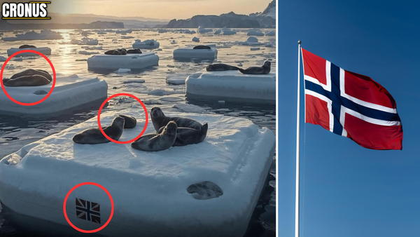 La Norvège a-t-elle créé des banquises artificielles pour les phoques de l'Arctique afin de remplacer leur habitat en voie de disparition ? 7 À gauche : l'image des phoques sur la nacelle artificielle, entourée de cercles rouges.