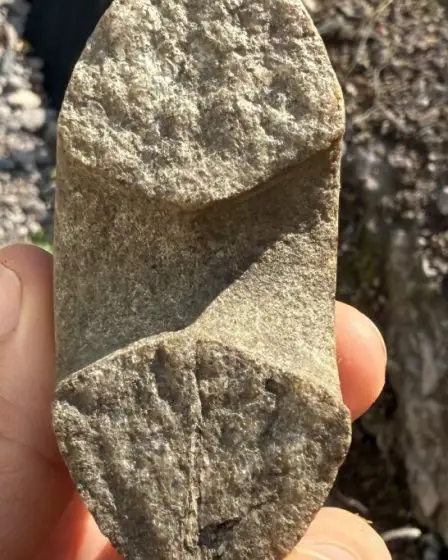 Découverte en Norvège d'un marteau rare datant de l'âge de pierre et vieux de 9 000 ans 2 Découverte en Norvège d'un marteau rare datant de l'âge de pierre et vieux de 9 000 ans - 1