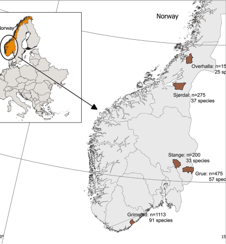 Populations de pucerons et potentiel de vecteurs de virus dans les champs de pommes de terre en fonction des saisons et des régions en Norvège 5 Populations de pucerons et potentiel de vecteurs de virus dans les champs de pommes de terre en fonction des saisons et des régions en Norvège - 4