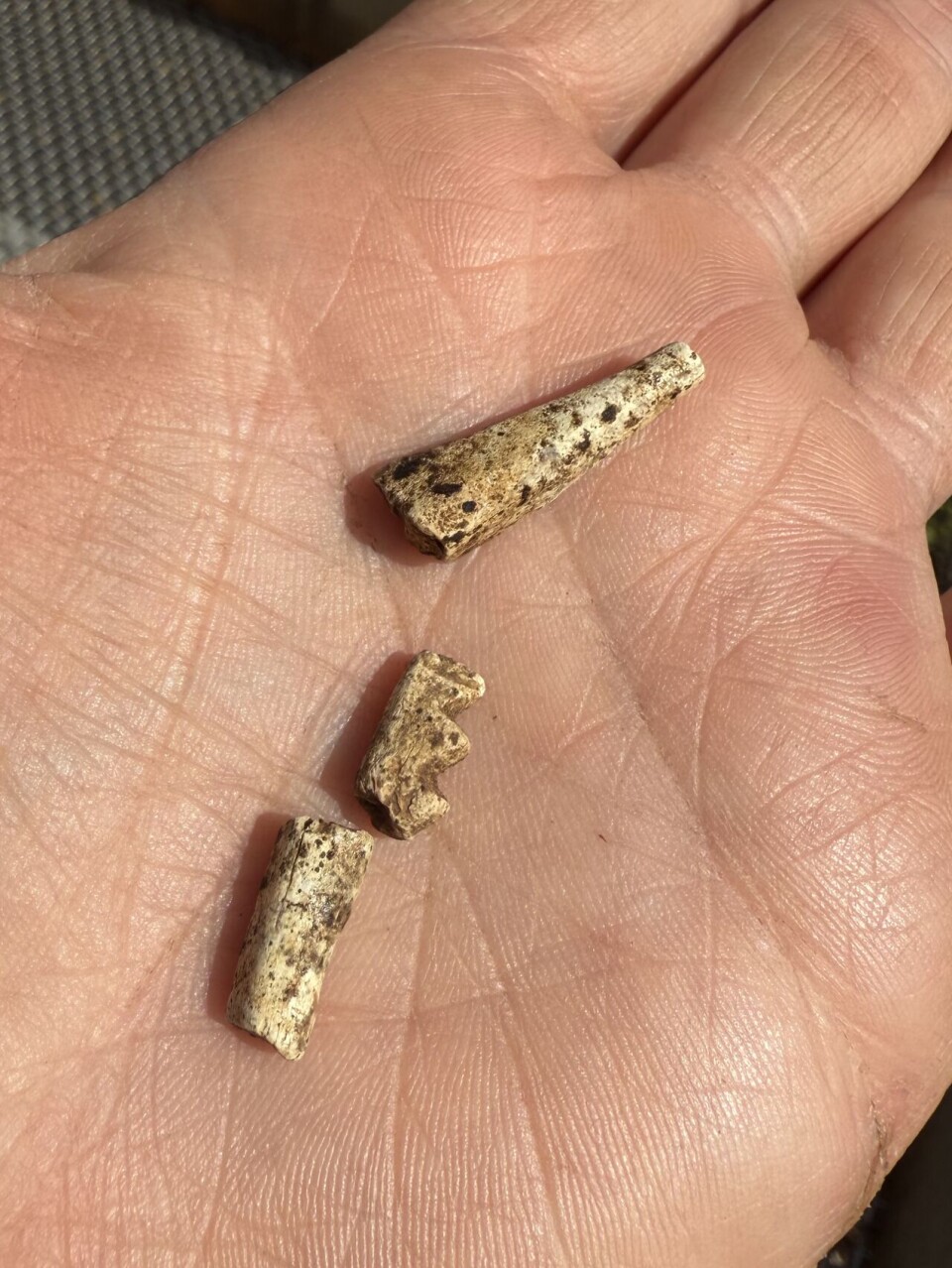 Fishhooks and bones. The notches on the fishhook in the middle held the fishing line in place. Découverte en Norvège d'un marteau rare datant de l'âge de pierre et vieux de 9 000 ans - 26