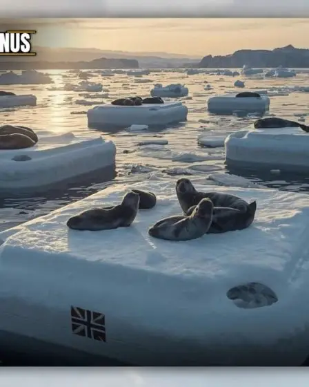 La Norvège a-t-elle créé des banquises artificielles pour les phoques de l'Arctique afin de remplacer leur habitat en voie de disparition ? 5 La Norvège a-t-elle créé des banquises artificielles pour les phoques de l'Arctique afin de remplacer leur habitat en voie de disparition ? - 4