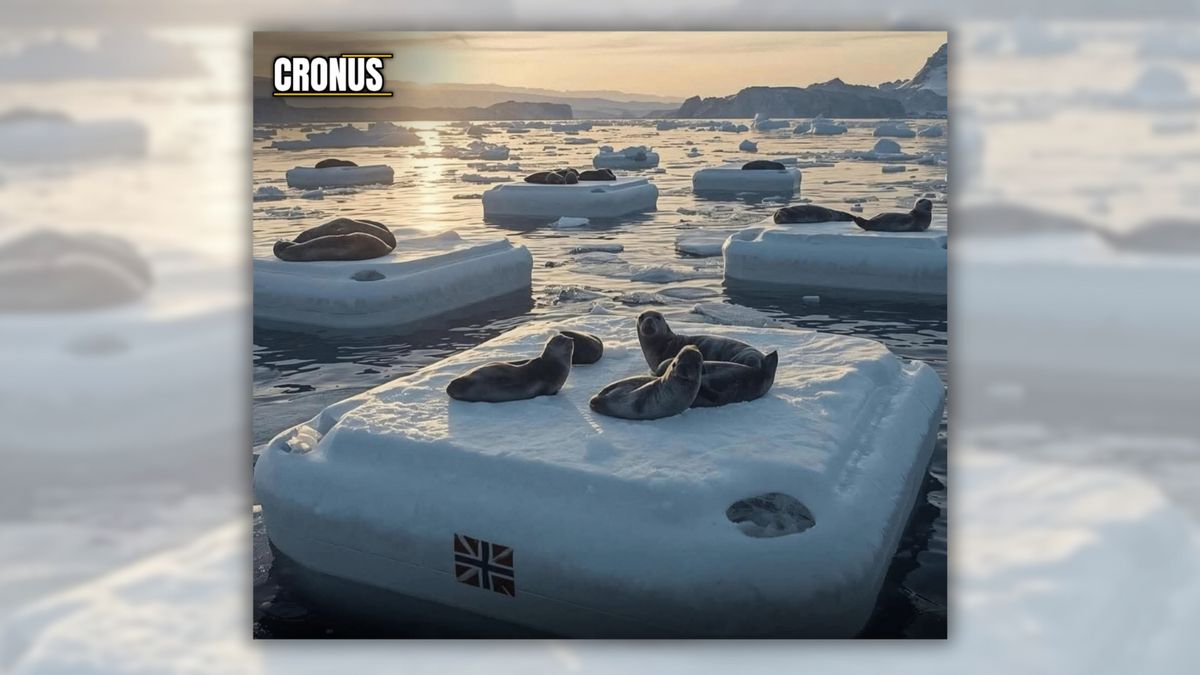 La Norvège a-t-elle créé des banquises artificielles pour les phoques de l'Arctique afin de remplacer leur habitat en voie de disparition ? 6 La Norvège a-t-elle créé des banquises artificielles pour les phoques de l'Arctique afin de remplacer leur habitat en voie de disparition ? - 5