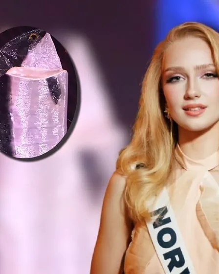 Qui est Miss Norvège, la femme qui s'est déguisée en saumon norvégien lors du concours Miss Univers 2025 ? 10 Qui est Miss Norvège, la femme qui s'est déguisée en saumon norvégien lors du concours Miss Univers 2025 ? - 9