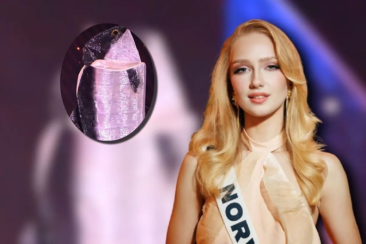 Qui est Miss Norvège, la femme qui s'est déguisée en saumon norvégien lors du concours Miss Univers 2025 ? 4 Qui est Miss Norvège, la femme qui s'est déguisée en saumon norvégien lors du concours Miss Univers 2025 ? - 3