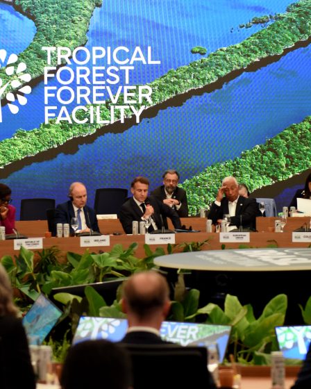 La Norvège s'engage à verser 3 milliards de dollars au fonds pour les forêts tropicales dirigé par le Brésil 2 La Norvège s'engage à verser 3 milliards de dollars au fonds pour les forêts tropicales dirigé par le Brésil - 1