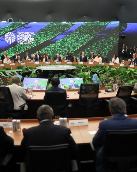 Exclusif : La Norvège va investir environ 3 milliards de dollars dans un fonds de conservation des forêts 29 Exclusif : La Norvège va investir environ 3 milliards de dollars dans un fonds de conservation des forêts - 28