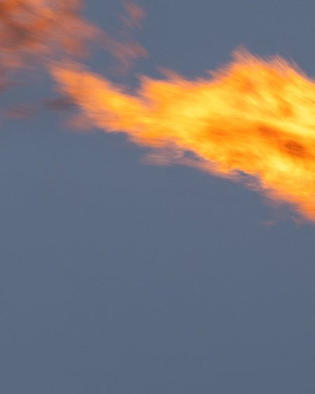Le fonds d'investissement norvégien maintient sa pression sur les émissions nettes zéro dans le contexte du recul des États-Unis en matière de climat 40 Le fonds d'investissement norvégien maintient sa pression sur les émissions nettes zéro dans le contexte du recul des États-Unis en matière de climat - 39