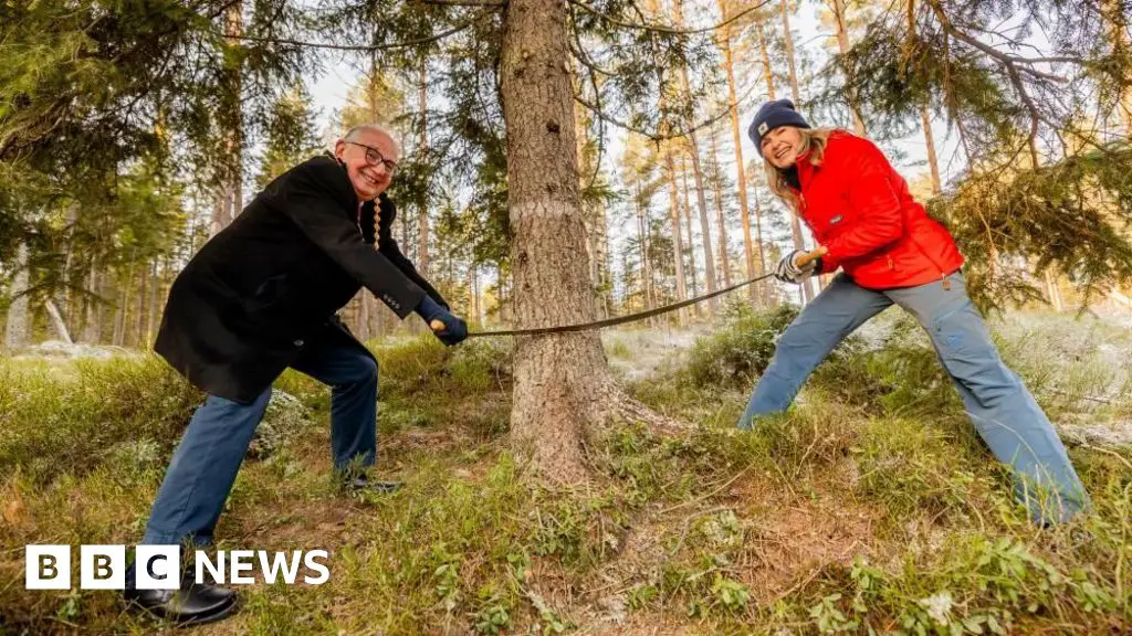 L'arbre de Noël de Trafalgar Square commence son voyage depuis la Norvège 12 L'arbre de Noël de Trafalgar Square commence son voyage depuis la Norvège - 11