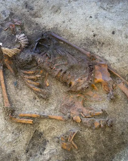 Mise au jour en Norvège de la tombe d'une femme de l'âge viking pratiquant un mystérieux rituel de la coquille Saint-Jacques 2 Mise au jour en Norvège de la tombe d'une femme de l'âge viking pratiquant un mystérieux rituel de la coquille Saint-Jacques - 1