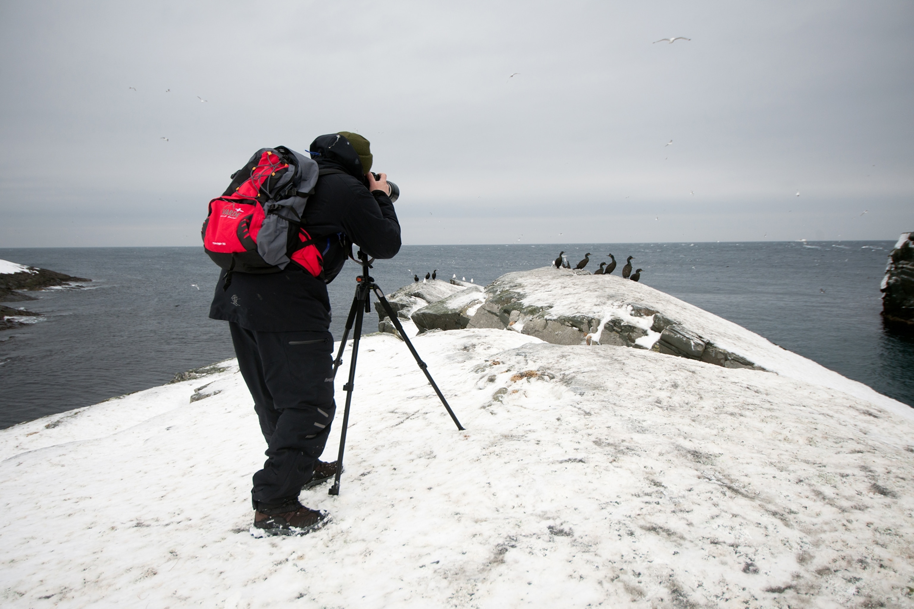 Découvrez la culture autochtone des Samis de Norvège et leurs 8 saisons. 12 Un homme prend une photo d'oiseaux sur une falaise glacée à Hornøya, dans le nord de la Norvège.