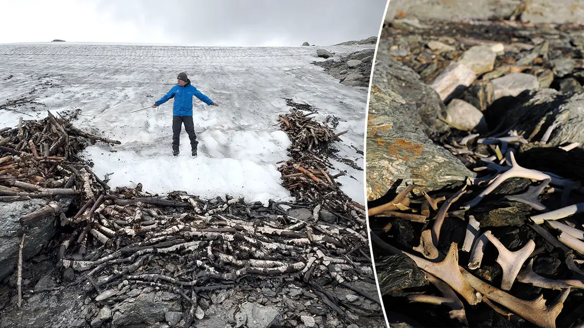 Des archéologues découvrent dans les montagnes norvégiennes un piège à rennes vieux de 1 500 ans 11 Homme pointant du doigt une installation ancienne, prise de vue de bois de rennes