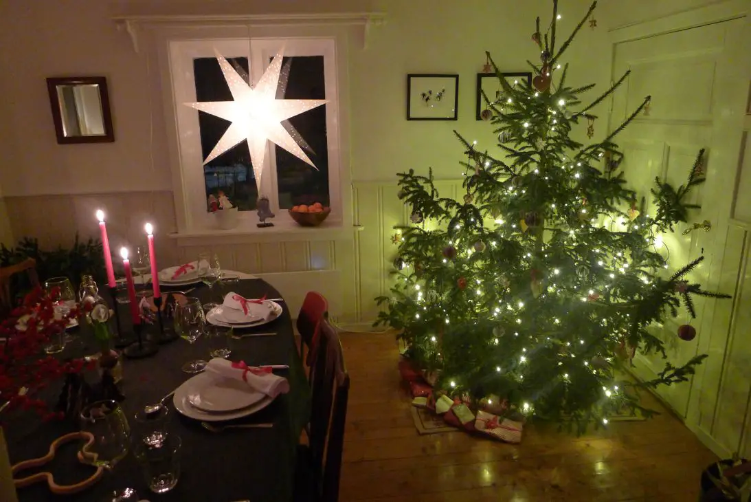 Le lutéfisk appartient à Noël" : Le plat festif norvégien qui polarise l'attention connaît un renouveau 11 Les Norvégiens fêtent généralement Noël le 24 décembre.