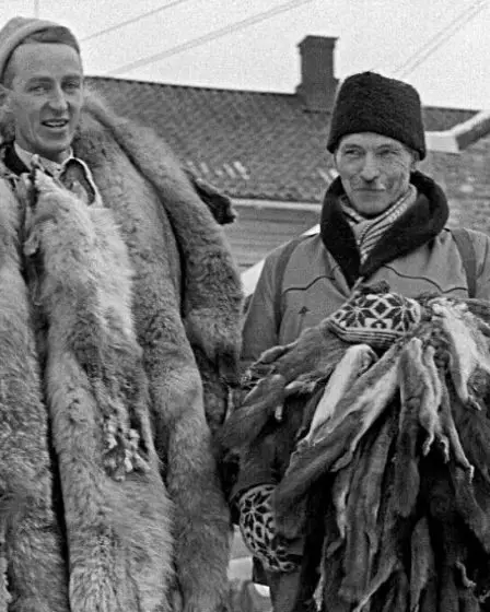 Pourquoi la chasse à l'écureuil est-elle autorisée en Norvège ? 2 Pourquoi la chasse à l'écureuil est-elle autorisée en Norvège ? - 1