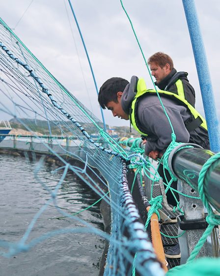 Des étudiants du MIT Sea Grant explorent l'intersection de la technologie et de l'aquaculture en mer en Norvège | MIT News 2 Des étudiants du MIT Sea Grant explorent l'intersection de la technologie et de l'aquaculture en mer en Norvège | MIT News - 1