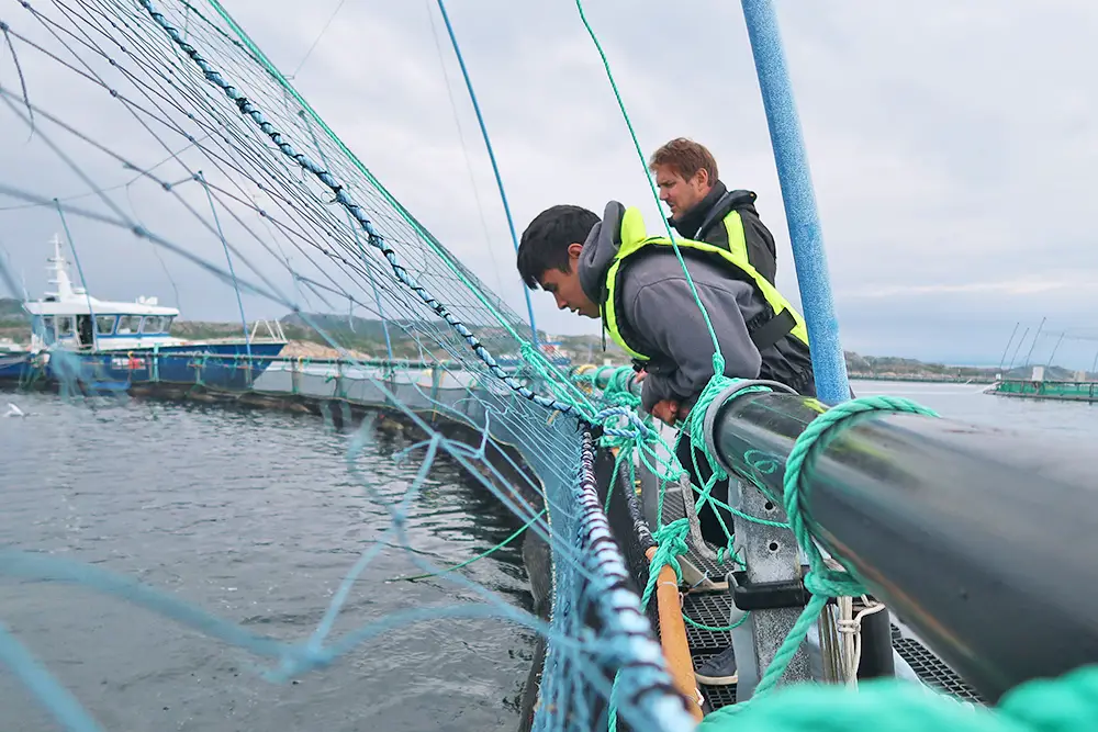 Des étudiants du MIT Sea Grant explorent l'intersection de la technologie et de l'aquaculture en mer en Norvège | MIT News 4 Des étudiants du MIT Sea Grant explorent l'intersection de la technologie et de l'aquaculture en mer en Norvège | MIT News - 3