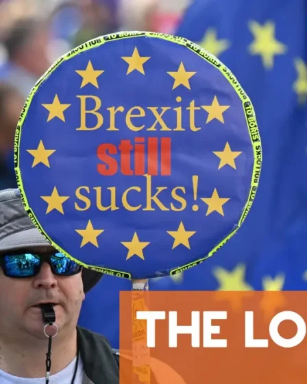 Comment les Britanniques en Europe continuent de se battre pour leurs droits 5 Comment les Britanniques en Europe continuent de se battre pour leurs droits - 4