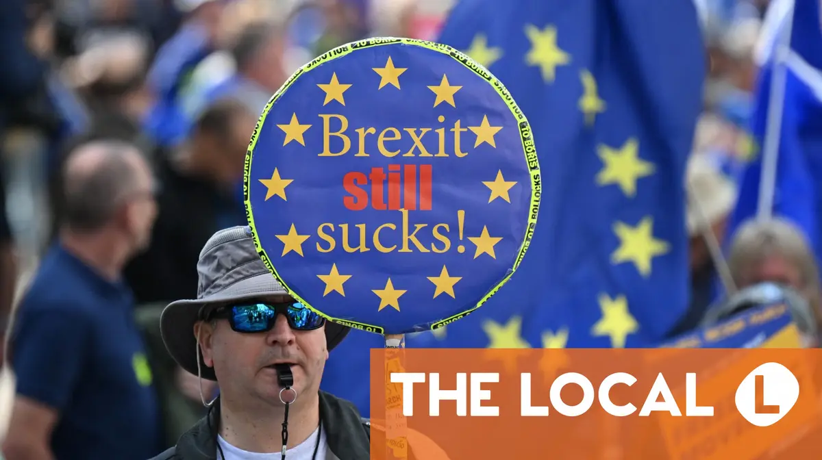 Comment les Britanniques en Europe continuent de se battre pour leurs droits 4 Comment les Britanniques en Europe continuent de se battre pour leurs droits - 3