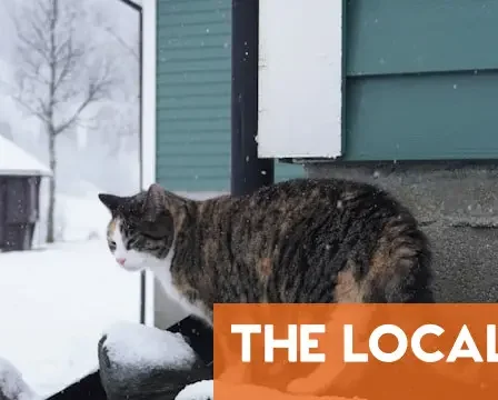 Qu'est-ce qui change dans la vie en Norvège en janvier 2026 ? 34 Qu'est-ce qui change dans la vie en Norvège en janvier 2026 ? - 33