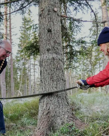 Chaque année, la Norvège offre un sapin de Noël à Londres. Voici comment la tradition a commencé 14 Chaque année, la Norvège offre un sapin de Noël à Londres. Voici comment la tradition a commencé - 13