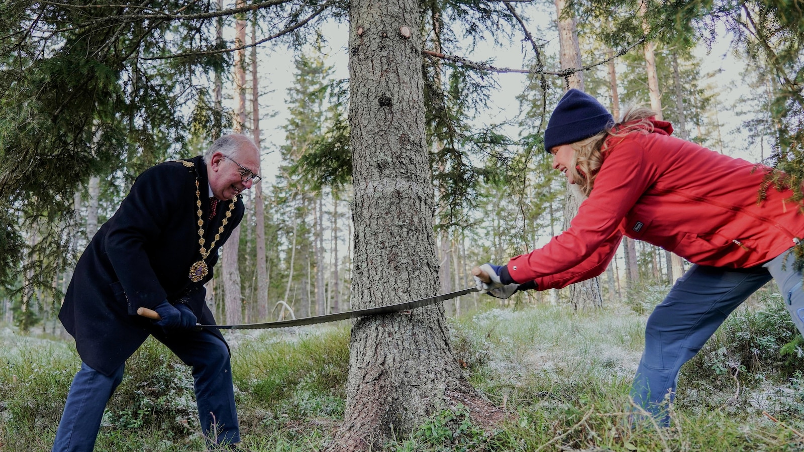 Chaque année, la Norvège offre un sapin de Noël à Londres. Voici comment la tradition a commencé 4 Chaque année, la Norvège offre un sapin de Noël à Londres. Voici comment la tradition a commencé - 3