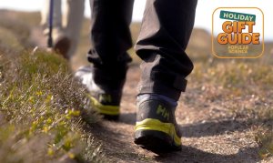 Une bague médiévale ouvragée découverte dans la plus ancienne ville de Norvège 7 Widget de contenu du guide cadeaux outdoor