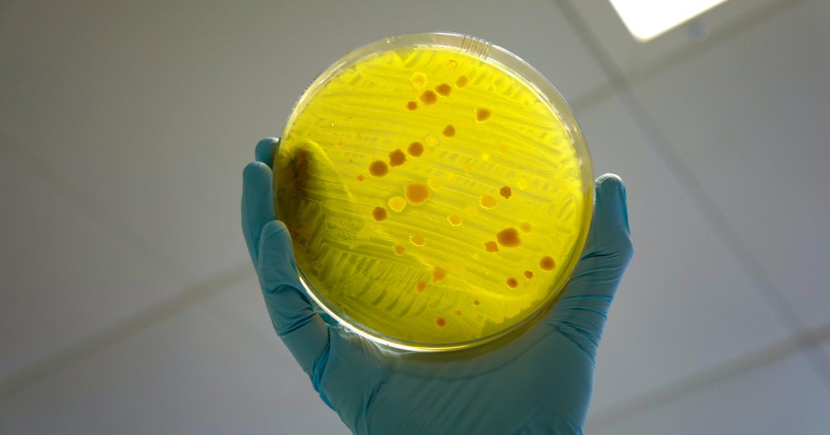 Une étude norvégienne révèle comment les eaux usées des hôpitaux propagent la résistance aux antimicrobiens 4 Une étude norvégienne révèle comment les eaux usées des hôpitaux propagent la résistance aux antimicrobiens - 3