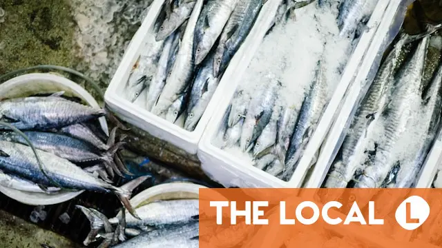 Résumé des dernières actualités de mercredi 4 Résumé des dernières actualités de mercredi - 3