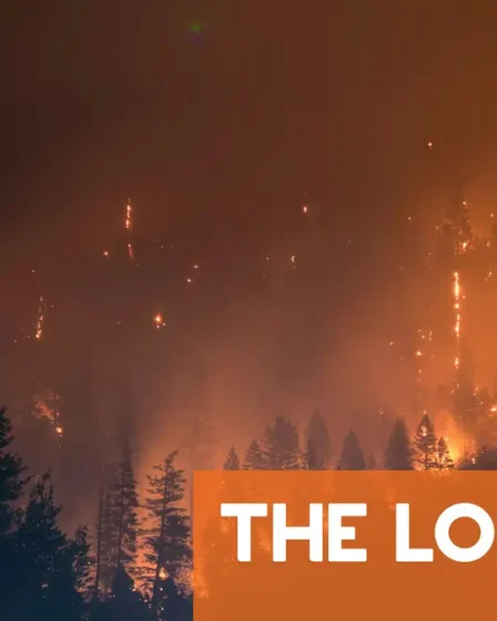 Pourquoi la Norvège met-elle en garde contre le danger des incendies de forêt en hiver ? 36 Pourquoi la Norvège met-elle en garde contre le danger des incendies de forêt en hiver ? - 35