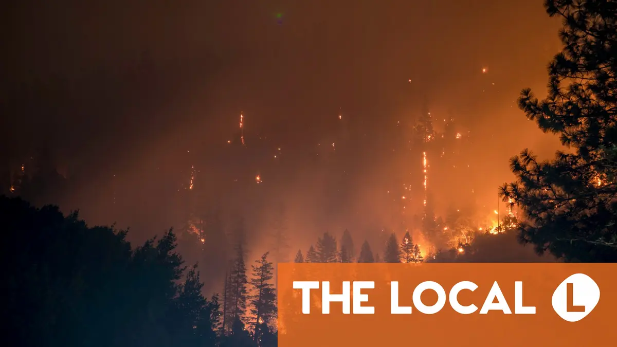 Pourquoi la Norvège met-elle en garde contre le danger des incendies de forêt en hiver ? 4 Pourquoi la Norvège met-elle en garde contre le danger des incendies de forêt en hiver ? - 3