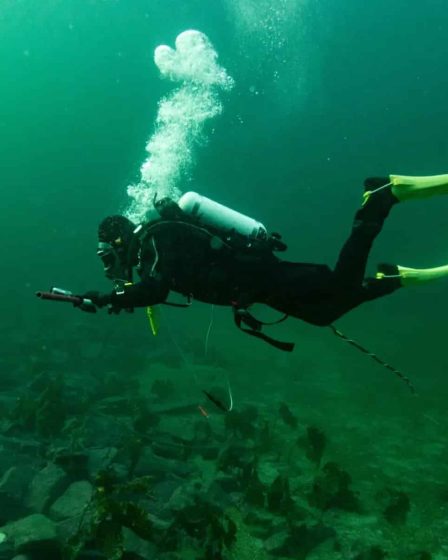 Une structure sous-marine vieille de 1 000 ans découverte au large des côtes norvégiennes 2 Une structure sous-marine vieille de 1 000 ans découverte au large des côtes norvégiennes - 1