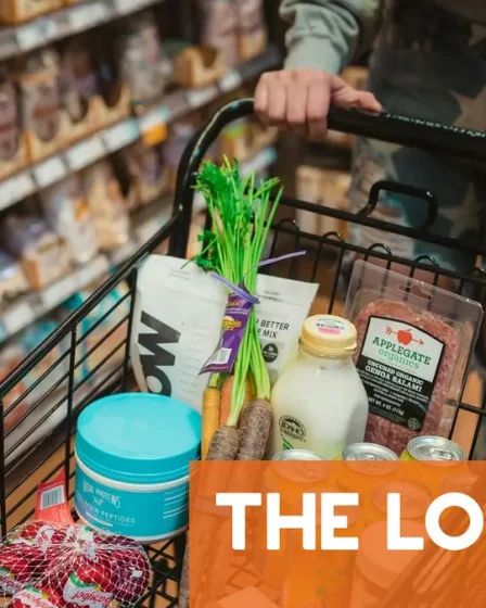 Dans quelle mesure les courses alimentaires sont-elles devenues plus chères en Norvège ? 2 Dans quelle mesure les courses alimentaires sont-elles devenues plus chères en Norvège ? - 1