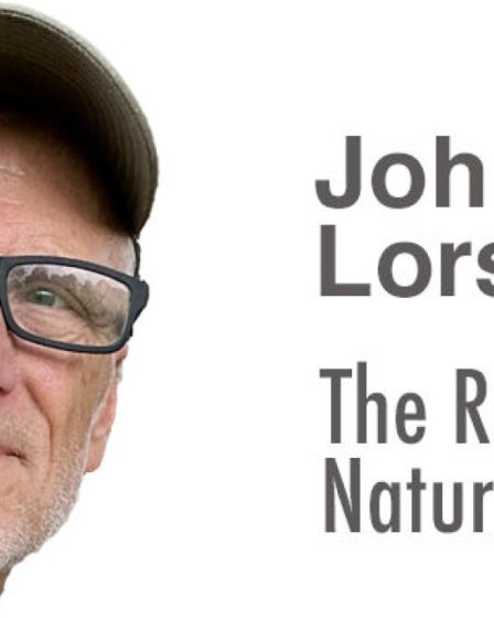 Pourquoi j’ai abattu un érable de Norvège âgé de près de 40 ans dans mon jardin, en Ohio 2 Pourquoi j’ai abattu un érable de Norvège âgé de près de 40 ans dans mon jardin, en Ohio - 1