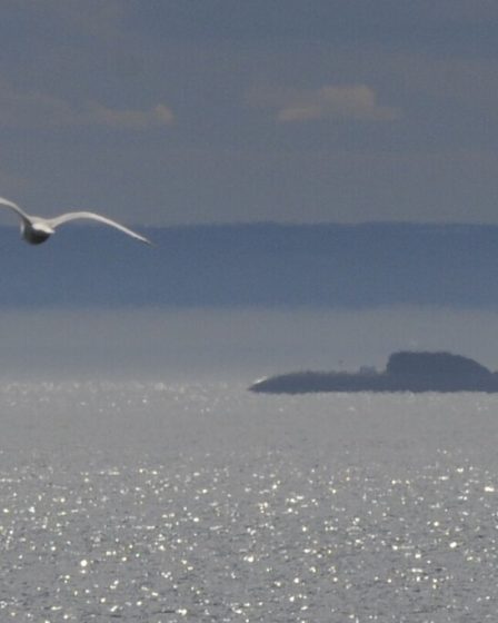 Le Royaume-Uni et la Norvège dévoilent une opération russe près d’une infrastructure sous-marine 29 Le Royaume-Uni et la Norvège dévoilent une opération russe près d’une infrastructure sous-marine - 28