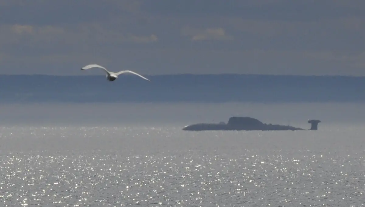 Le Royaume-Uni et la Norvège dévoilent une opération russe près d’une infrastructure sous-marine 12 Le Royaume-Uni et la Norvège dévoilent une opération russe près d’une infrastructure sous-marine - 11