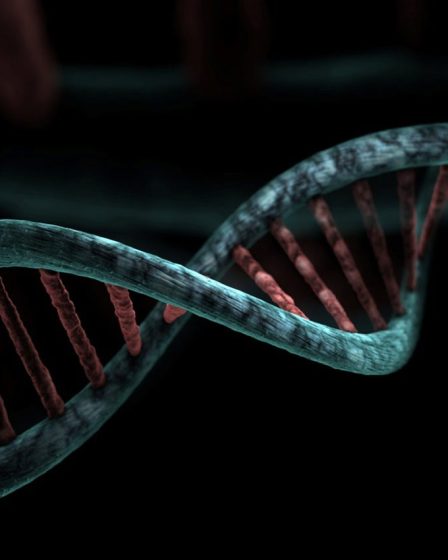 Medical Xpress : Le « patient d'Oslo » norvégien entre en rémission du VIH après une greffe de cellules souches rare provenant d'un don de son frère 2 Medical Xpress : Le « patient d'Oslo » norvégien entre en rémission du VIH après une greffe de cellules souches rare provenant d'un don de son frère - 1