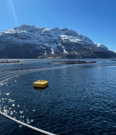 L'autorité de régulation norvégienne rejette les cinq demandes d'implantation du système de confinement fermé d'Eide Fjordbruk 2 L'autorité de régulation norvégienne rejette les cinq demandes d'implantation du système de confinement fermé d'Eide Fjordbruk - 1