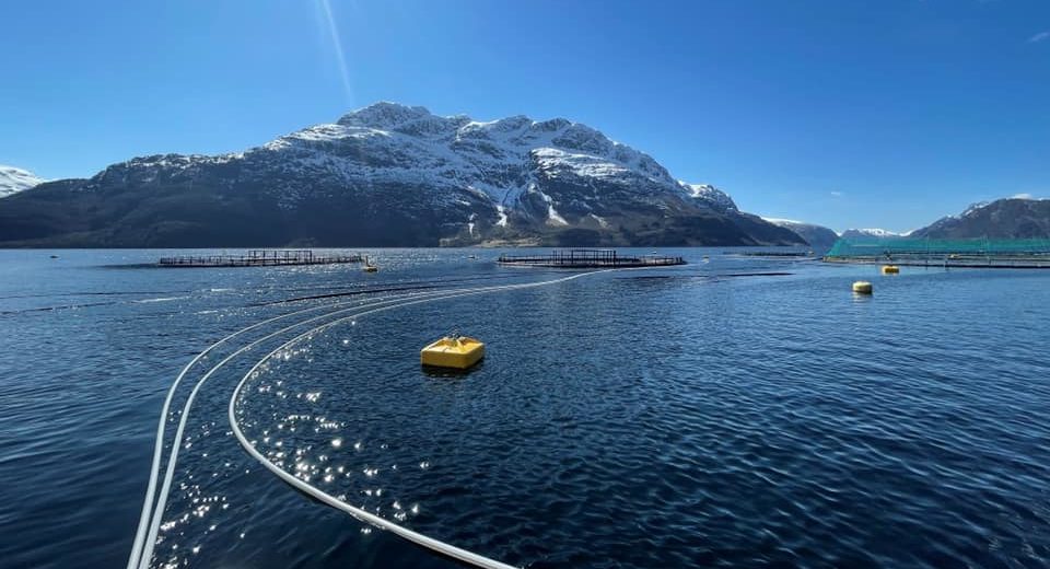L'autorité de régulation norvégienne rejette les cinq demandes d'implantation du système de confinement fermé d'Eide Fjordbruk 4 L'autorité de régulation norvégienne rejette les cinq demandes d'implantation du système de confinement fermé d'Eide Fjordbruk - 3
