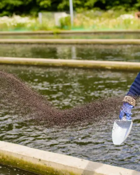 Aller Aqua condamnée à une amende de 5 millions de couronnes norvégiennes suite à une fuite de saumons d'élevage en Norvège en 2022 2 Aller Aqua condamnée à une amende de 5 millions de couronnes norvégiennes suite à une fuite de saumons d'élevage en Norvège en 2022 - 1