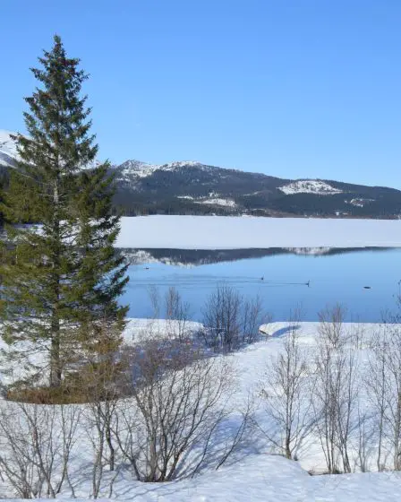 New Day Cafe - Photos de Suède et de Norvège 2 New Day Cafe - Photos de Suède et de Norvège - 1