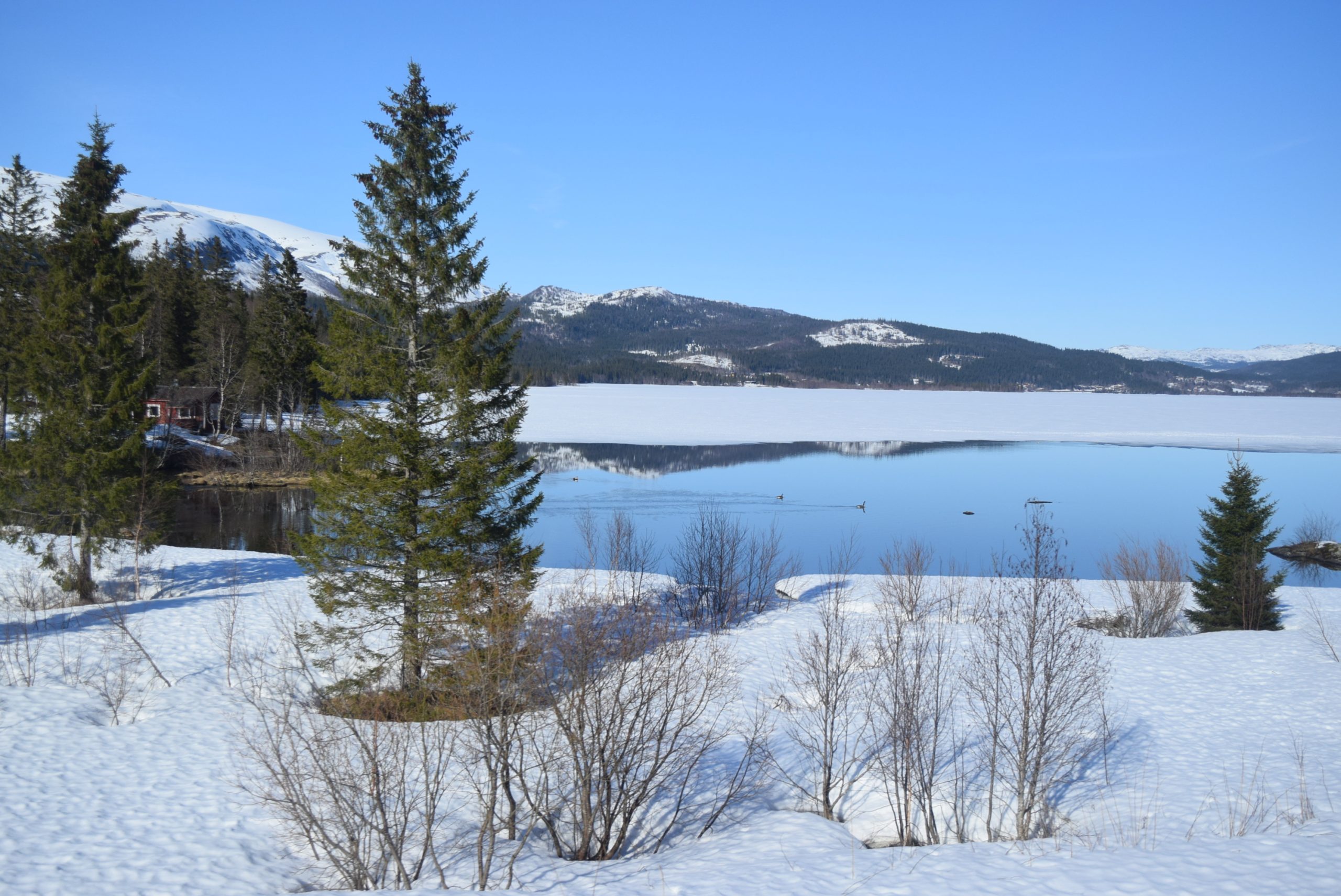 New Day Cafe - Photos de Suède et de Norvège 32 New Day Cafe - Photos de Suède et de Norvège - 31