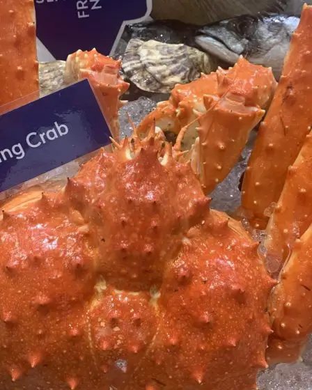 Les volumes et les prix du crabe royal femelle norvégien restent élevés 2 Les volumes et les prix du crabe royal femelle norvégien restent élevés - 1