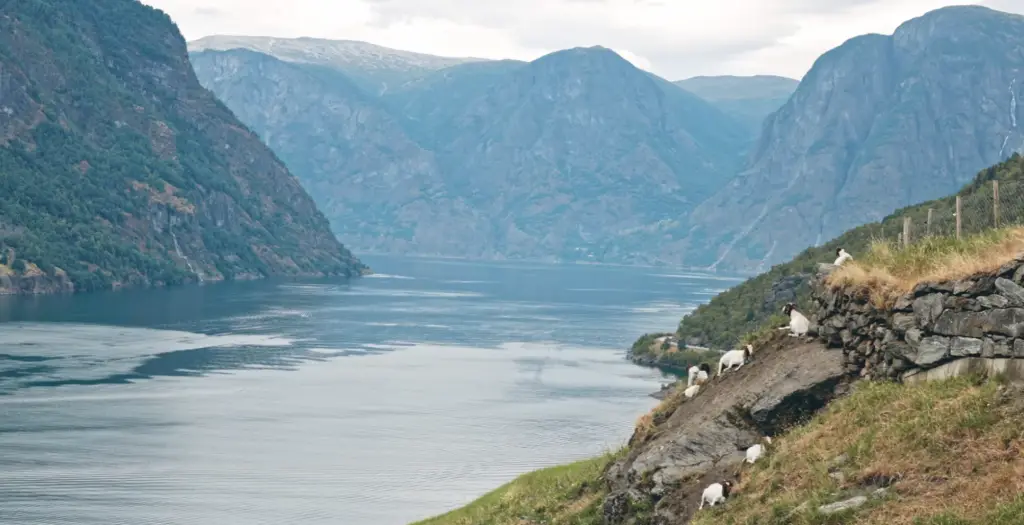 Voyager en Norvège en toute liberté : l'autotour signé Quartier Libre 6 Voyager en Norvège en toute liberté : l'autotour signé Quartier Libre - 5