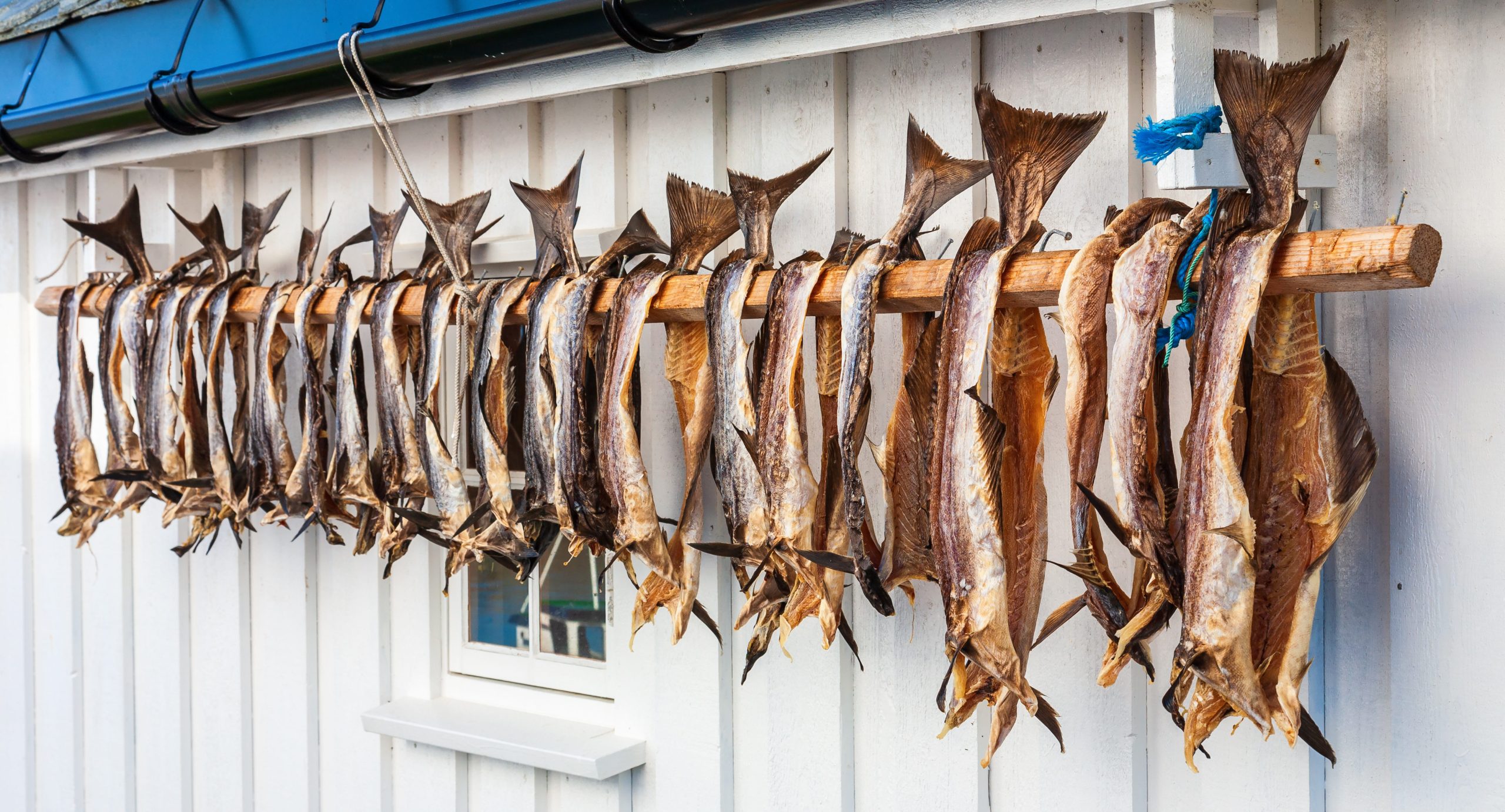 Le clipfish domine les maigres exportations norvégiennes de morue en mars alors que le commerce du « skrei » s'effondre 4 Le clipfish domine les maigres exportations norvégiennes de morue en mars alors que le commerce du « skrei » s'effondre - 3