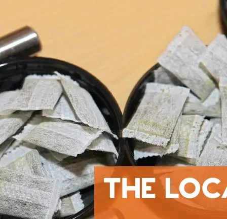 La Norvège lance un avertissement urgent concernant le snus à l'intention des voyageurs se rendant en France 2 La Norvège lance un avertissement urgent concernant le snus à l'intention des voyageurs se rendant en France - 1