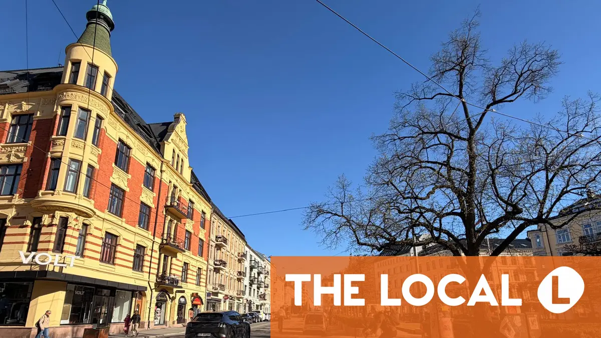 « Quel quartier animé ! » : Les quartiers d'Oslo préférés des étrangers 8 « Quel quartier animé ! » : Les quartiers d'Oslo préférés des étrangers - 7