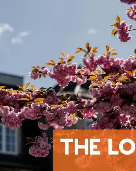 À NE PAS MANQUER : Les meilleures choses à faire à Oslo au printemps 24 À NE PAS MANQUER : Les meilleures choses à faire à Oslo au printemps - 23
