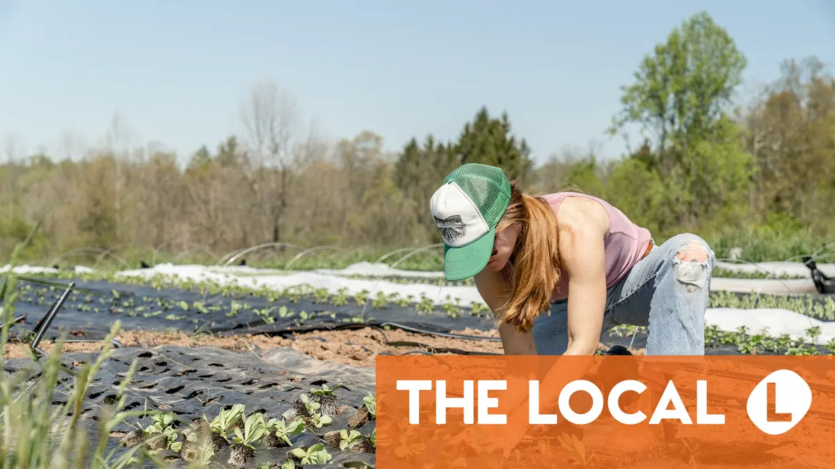 La Norvège envisage des réformes en matière d'immigration de main-d'œuvre pour pallier la pénurie future de talents 4 La Norvège envisage des réformes en matière d'immigration de main-d'œuvre pour pallier la pénurie future de talents - 3